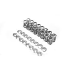LTG reinforced valve spring and titanium cap
